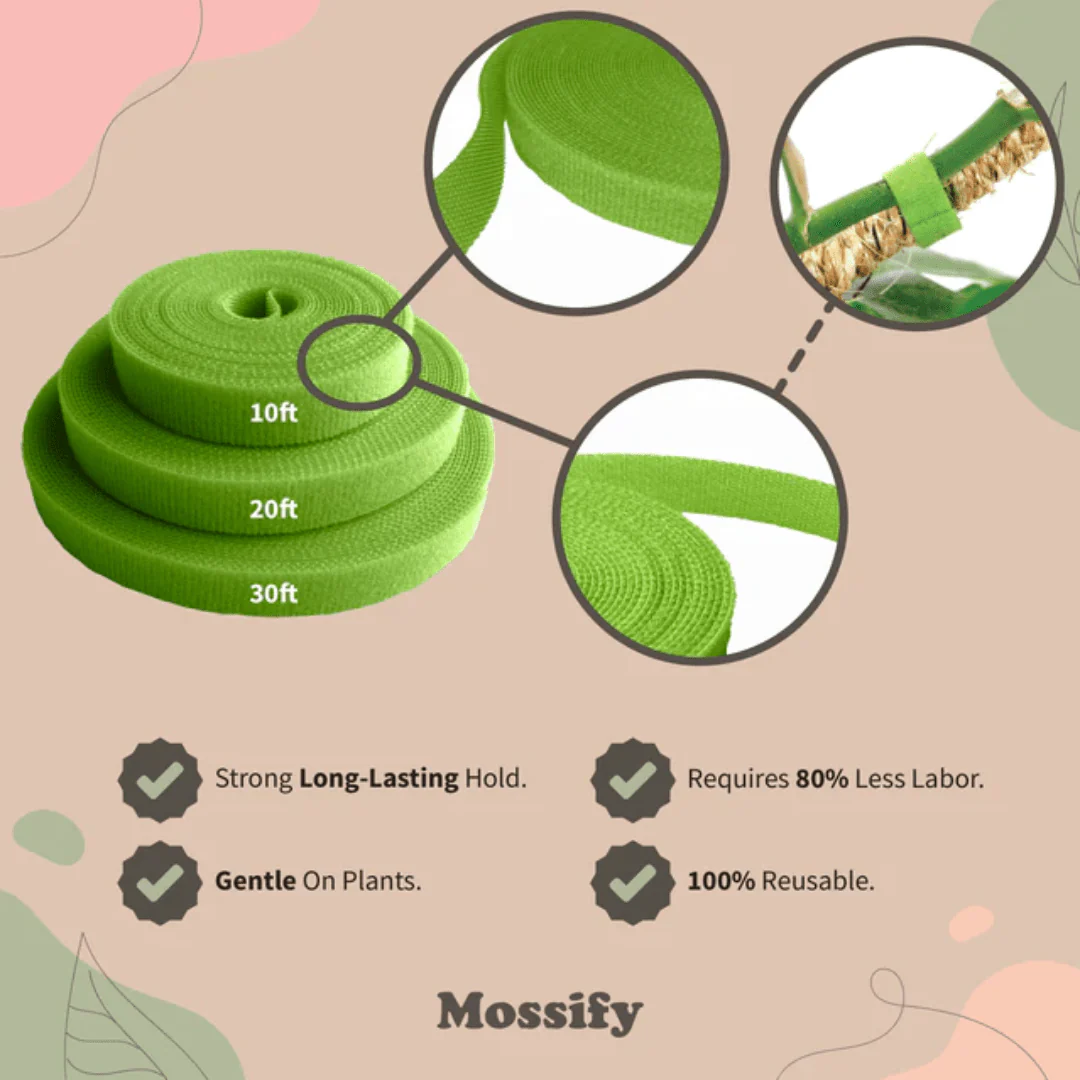 Reusable Plant Tape - Image 4